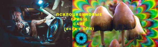 mdpv Армянск