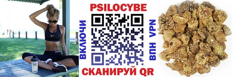 цена Тара Псилоцибиновые грибы прущие грибы